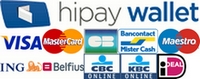 HiPay Logo