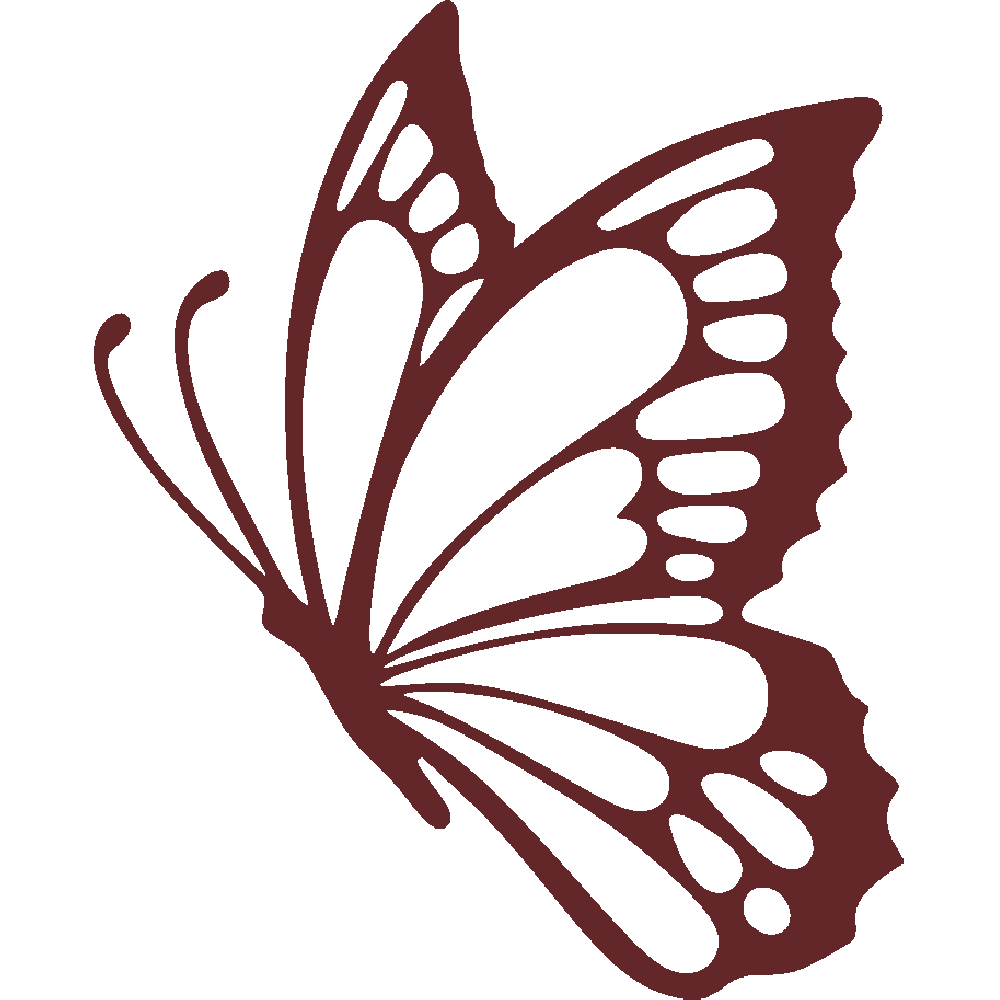 Muur sticker: aanpassing van Papillon 03