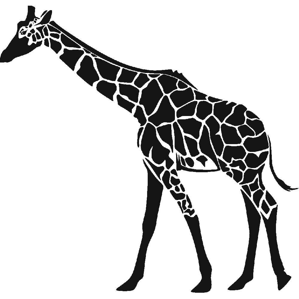 Muur sticker: aanpassing van Girafe Afrique