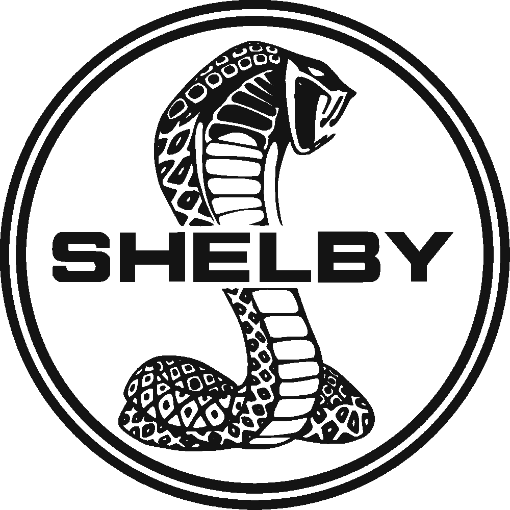 Aanpassing van Shelby Logo