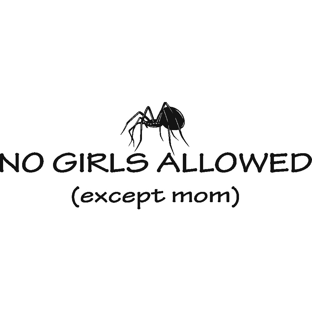 Wall sticker: customization of No Girls Allowed