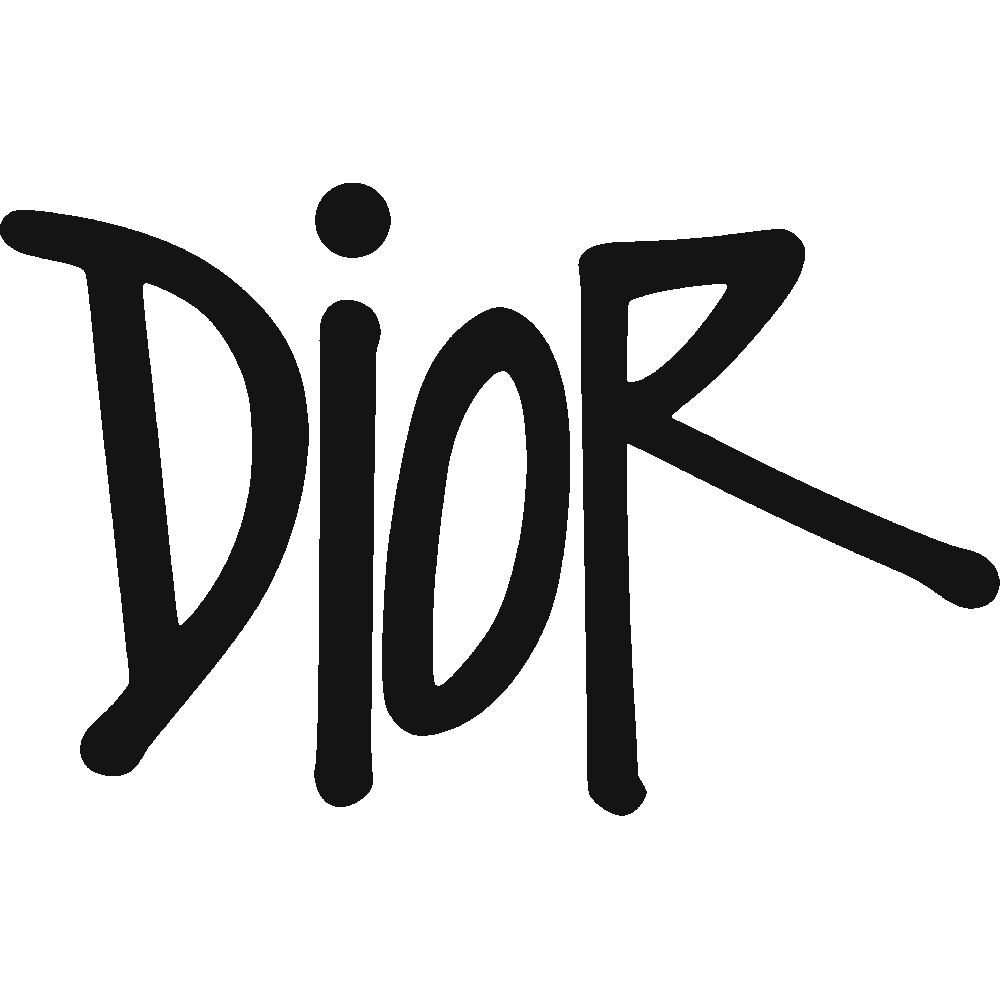 Customization of Dior And Stssy