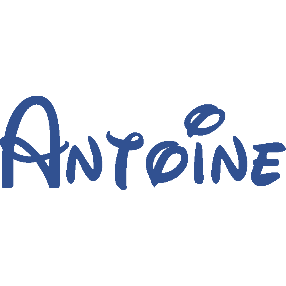 Customization of Antoine Disney