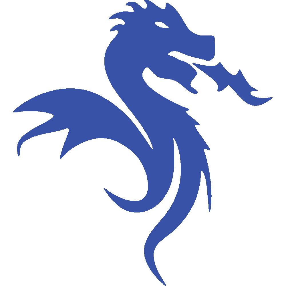 Bagagerie – Dragon Bleu