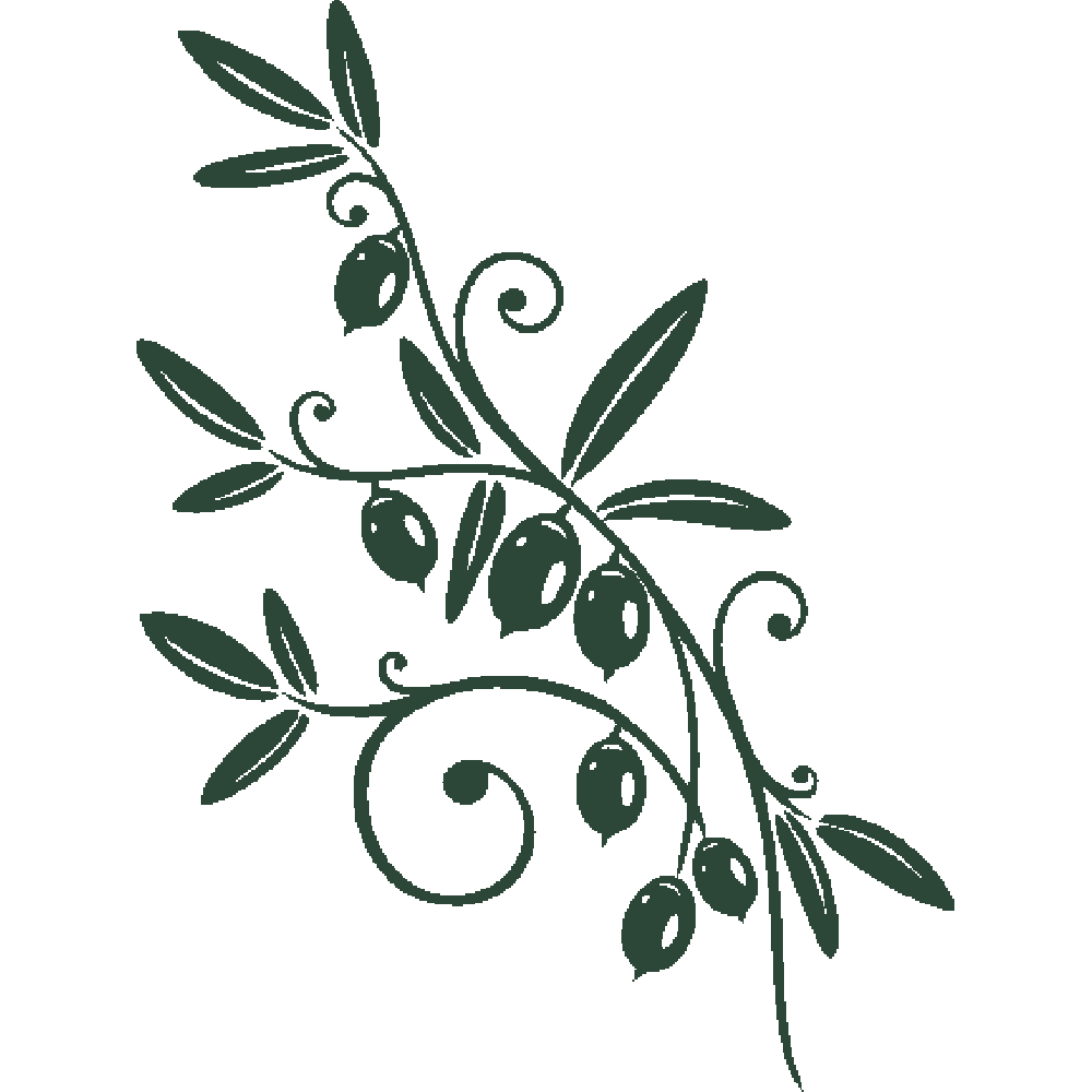 Muur sticker: aanpassing van Branche d'olivier