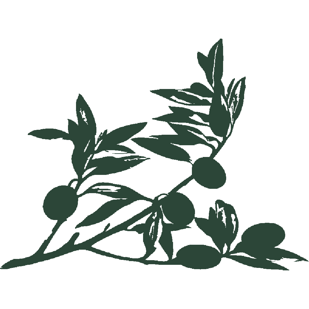 Muur sticker: aanpassing van Branche d'olivier 2