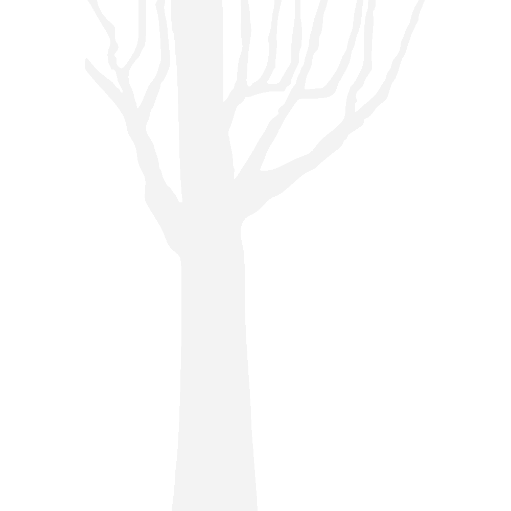 Muur sticker: aanpassing van Arbre en branches