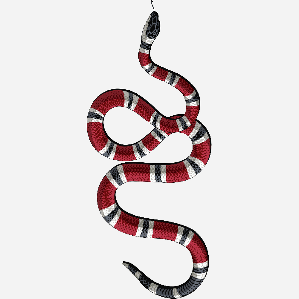 Customization of Serpent Gucci - Imprim
