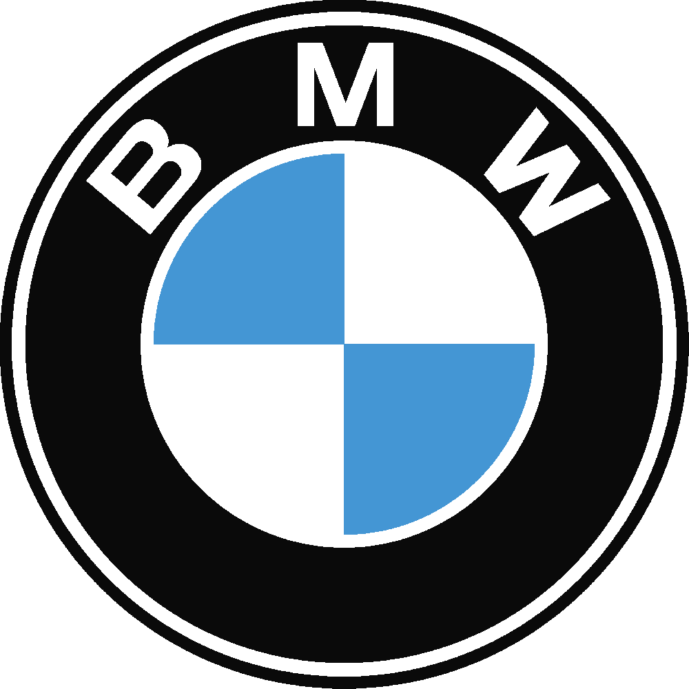 Customization of BMW Logo bicolor