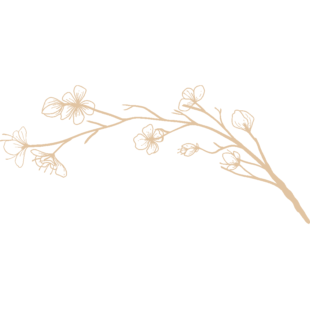 Aanpassing van Branche Cerisier Design