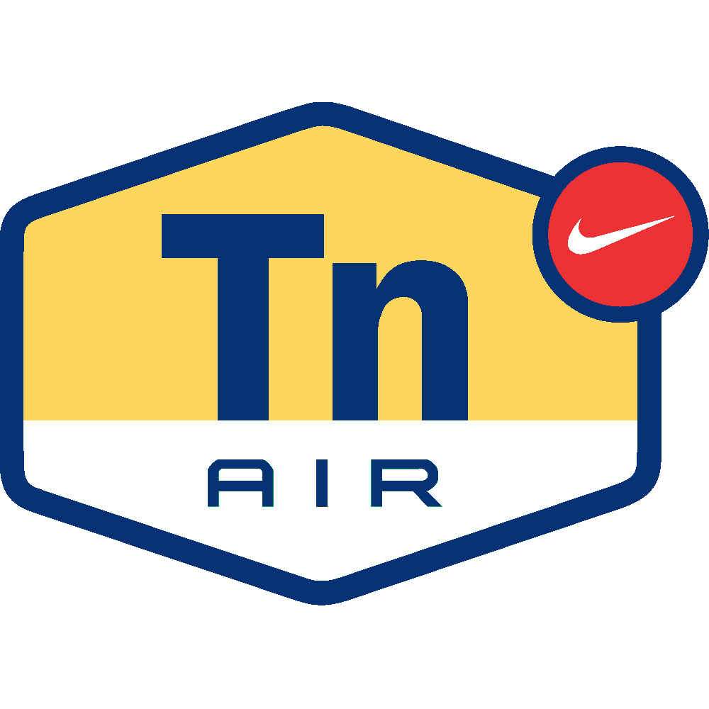 Aanpassing van Nike Tn Air - Imprim