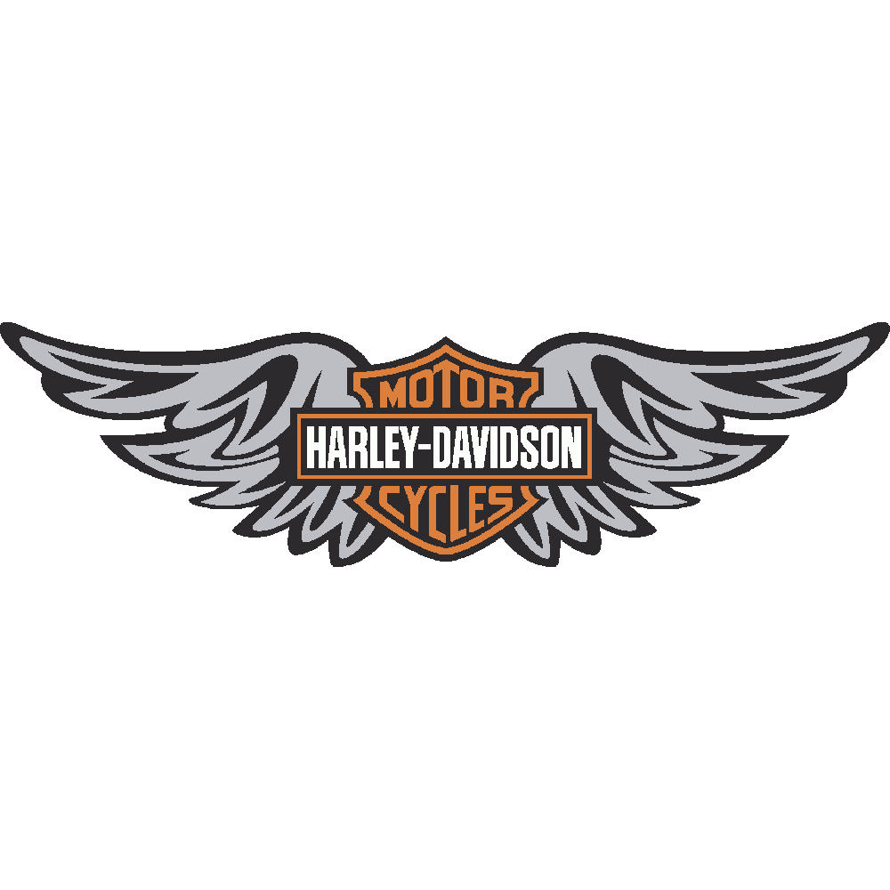 Customization of Harley Davidson Ailes imprim