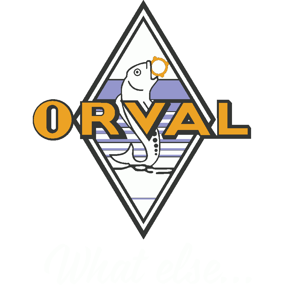 Customization of T-Shirt Orval What Else...