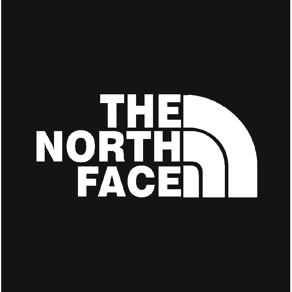 Aanpassing van North Face Logo 01