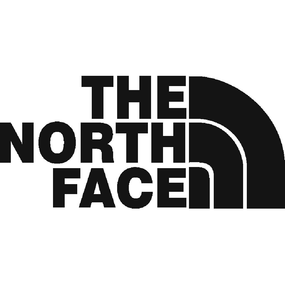 Personnalisation de North Face Logo 02