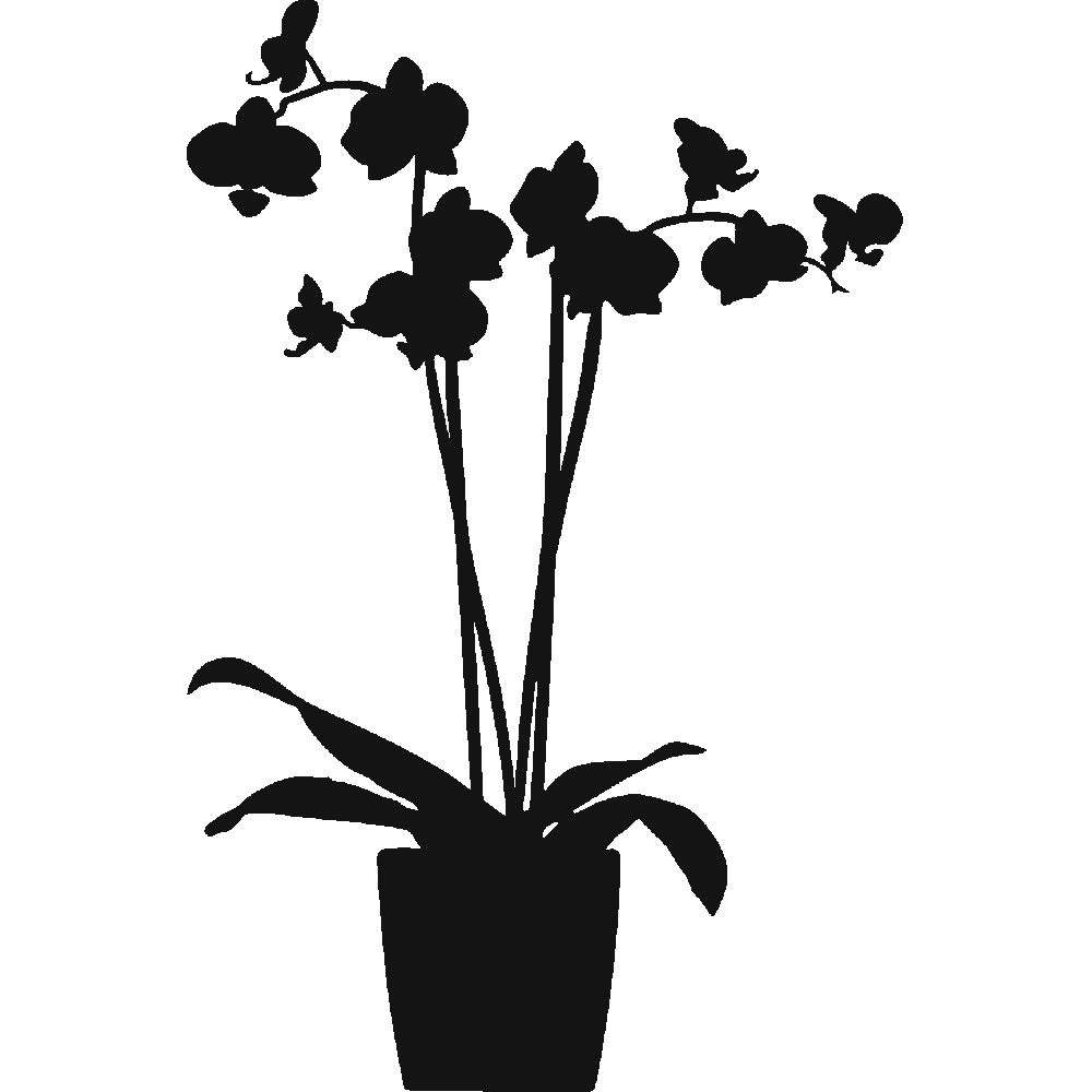 Muur sticker: aanpassing van Orchide en pot