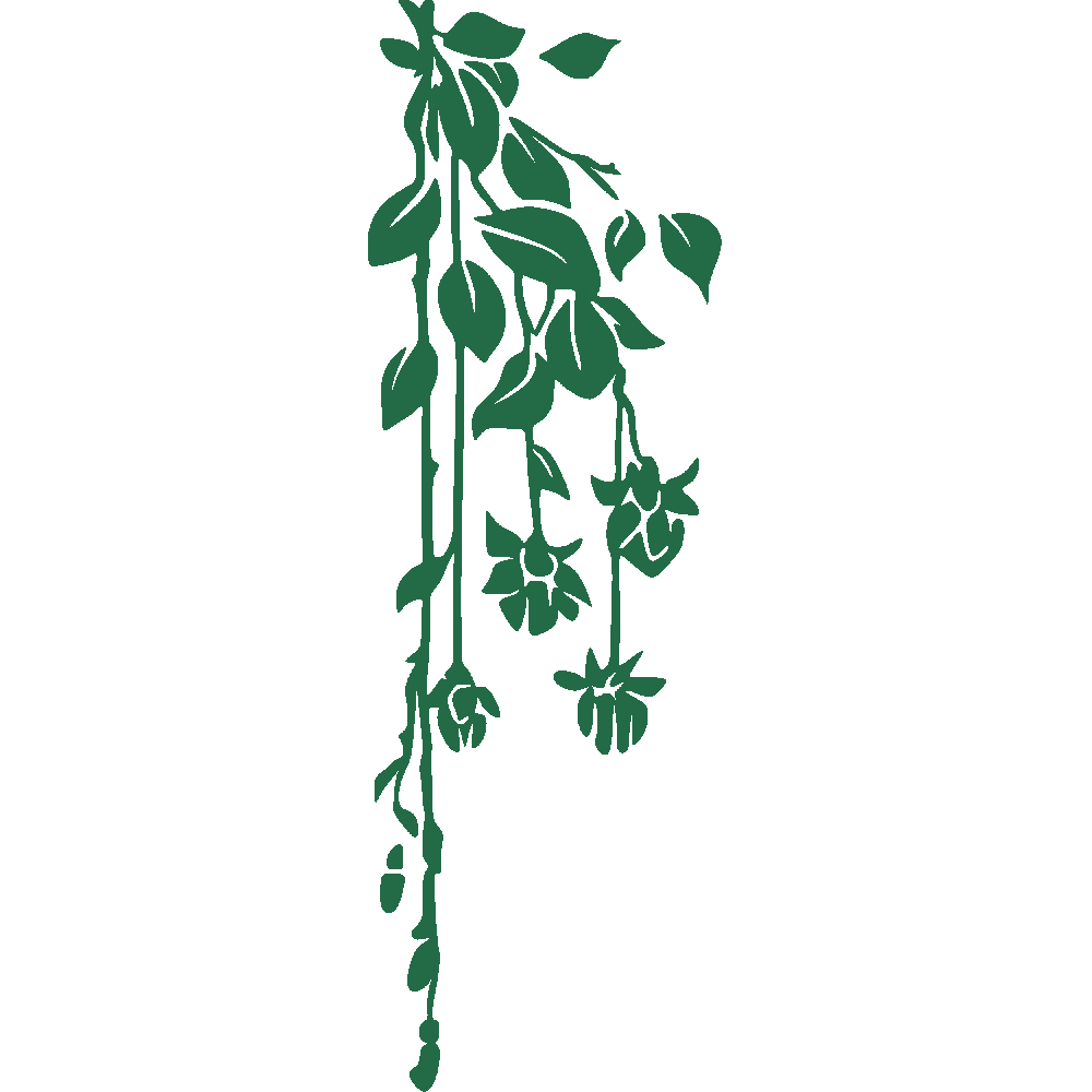 Sticker mural: personnalisation de Plante retombante