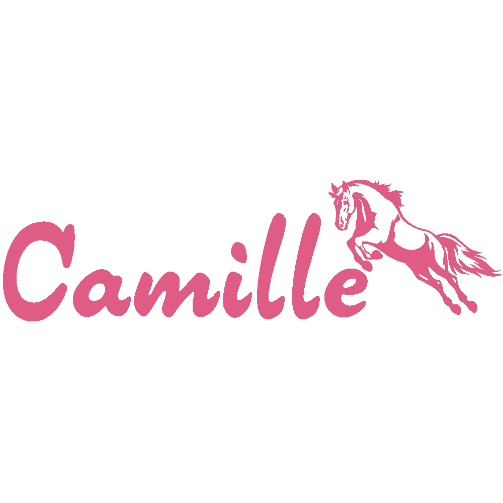 Wall sticker: customization of Camille Cheval
