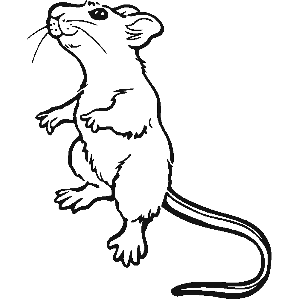 Muur sticker: aanpassing van Rat