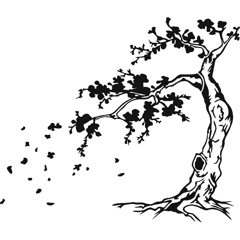 Muur sticker: aanpassing van Cerisier du Japon