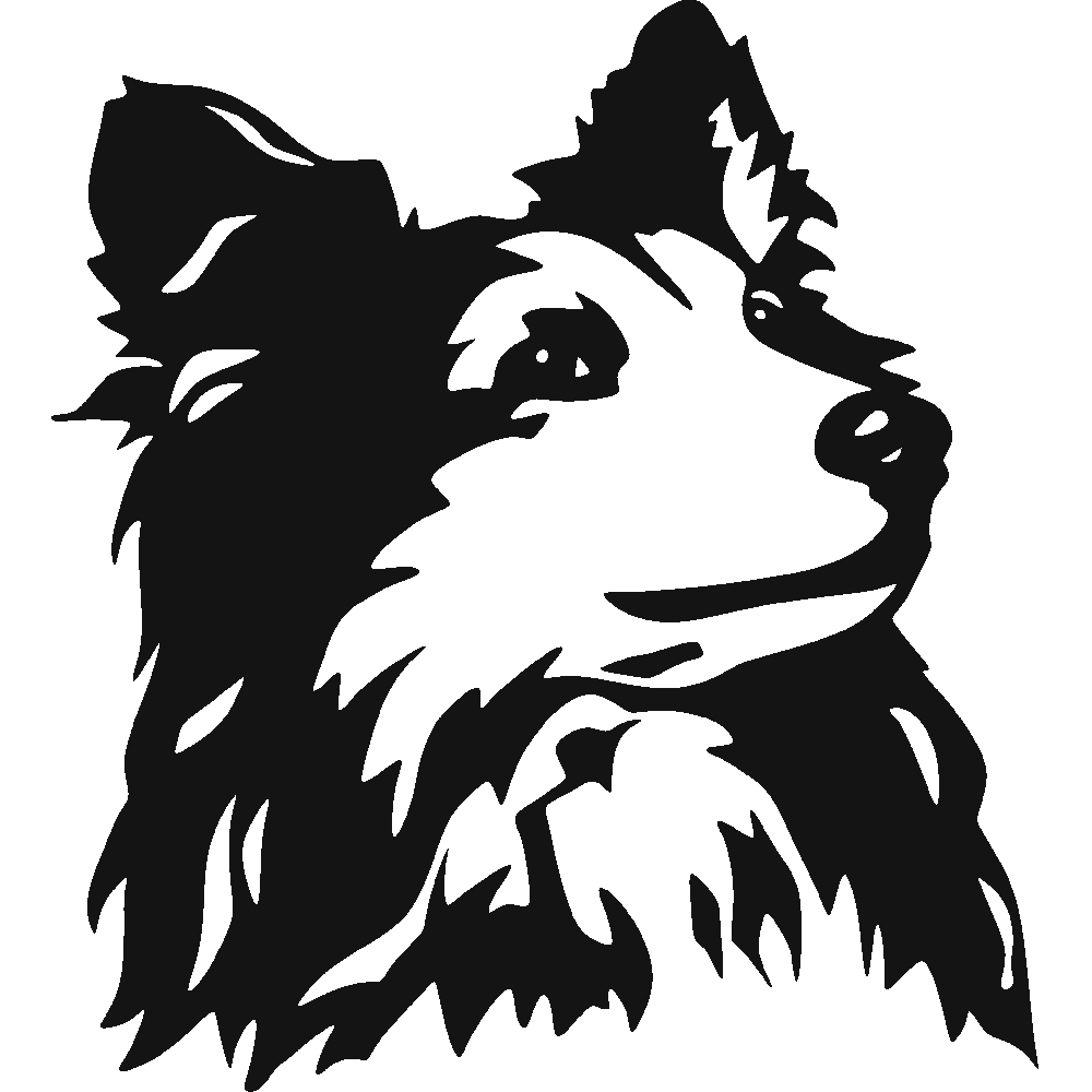 Muur sticker: aanpassing van Shetland Sheepdog - Sheltie 02