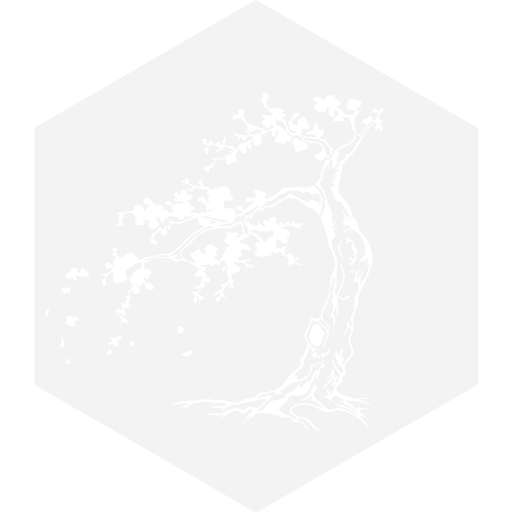 Muur sticker: aanpassing van Cerisier du Japon Hexagone