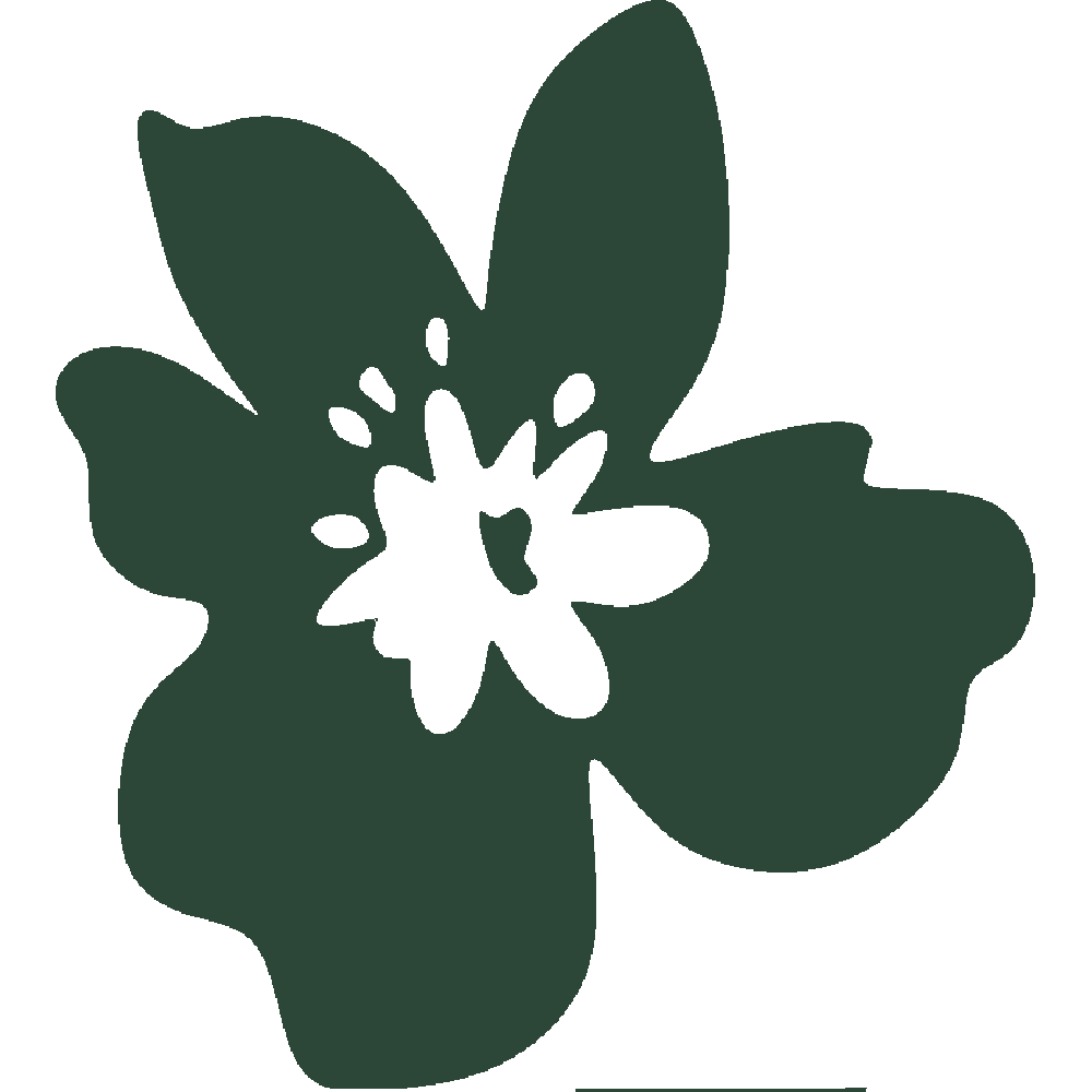 Muur sticker: aanpassing van Fleur exotique 1