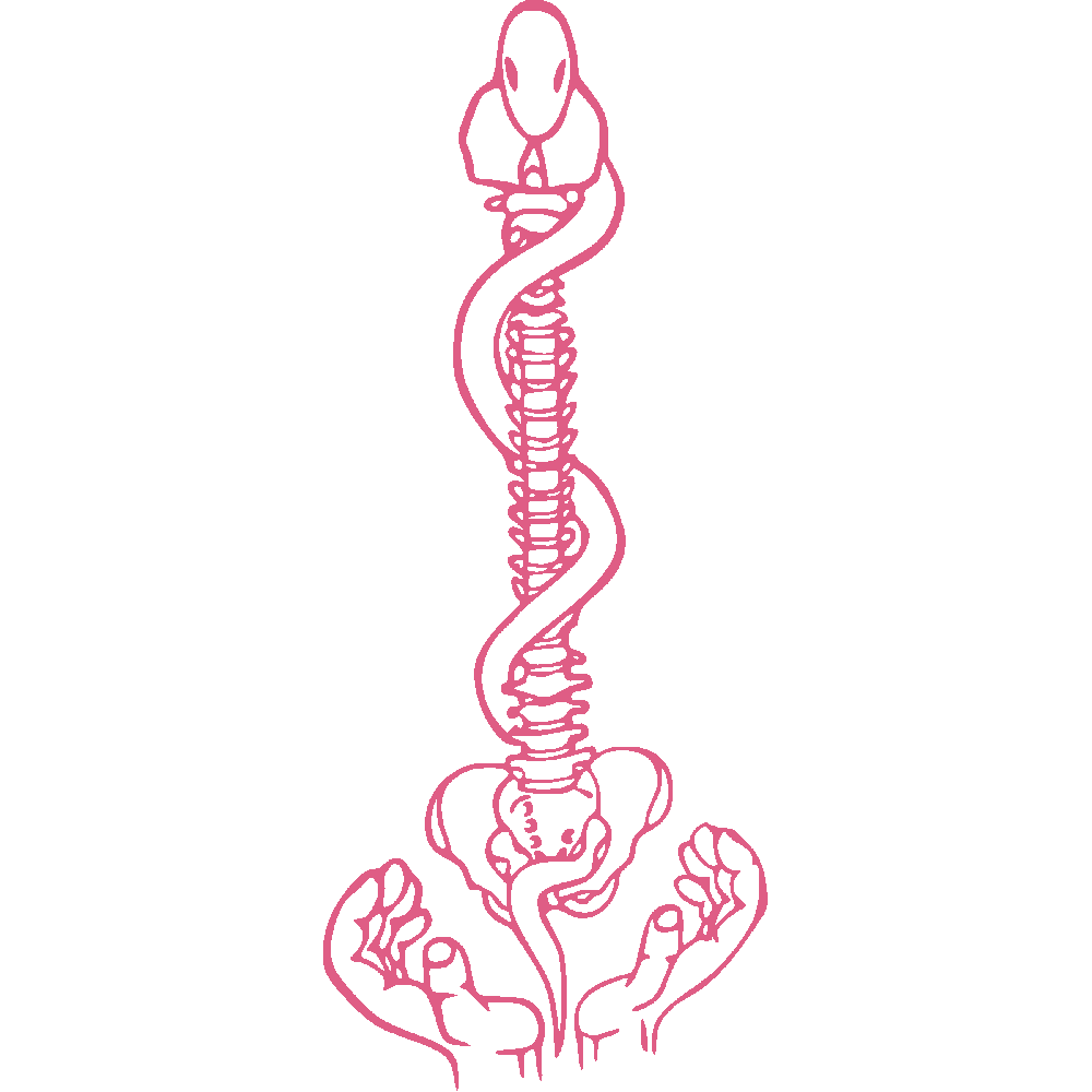 Sticker mural: personnalisation de Vertbrale - Serpent