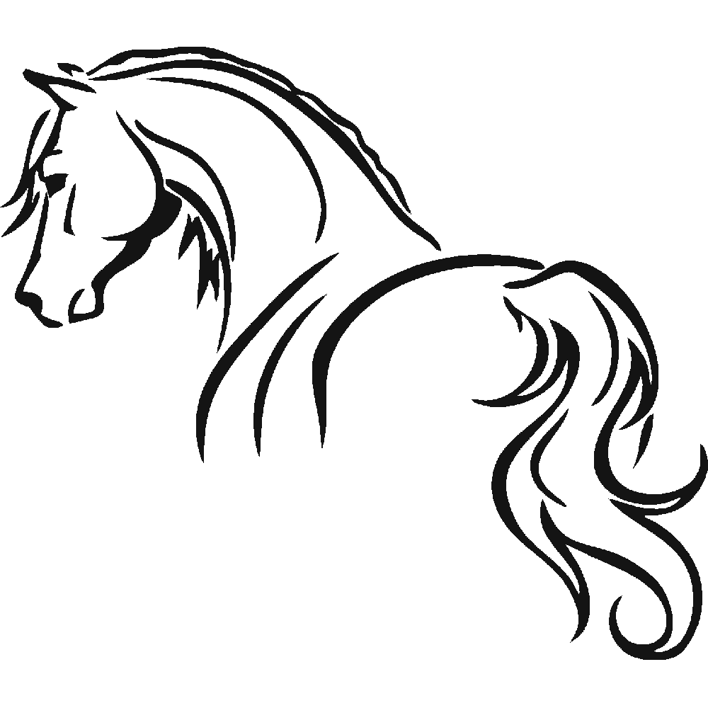 Wall sticker: customization of Arabian horse