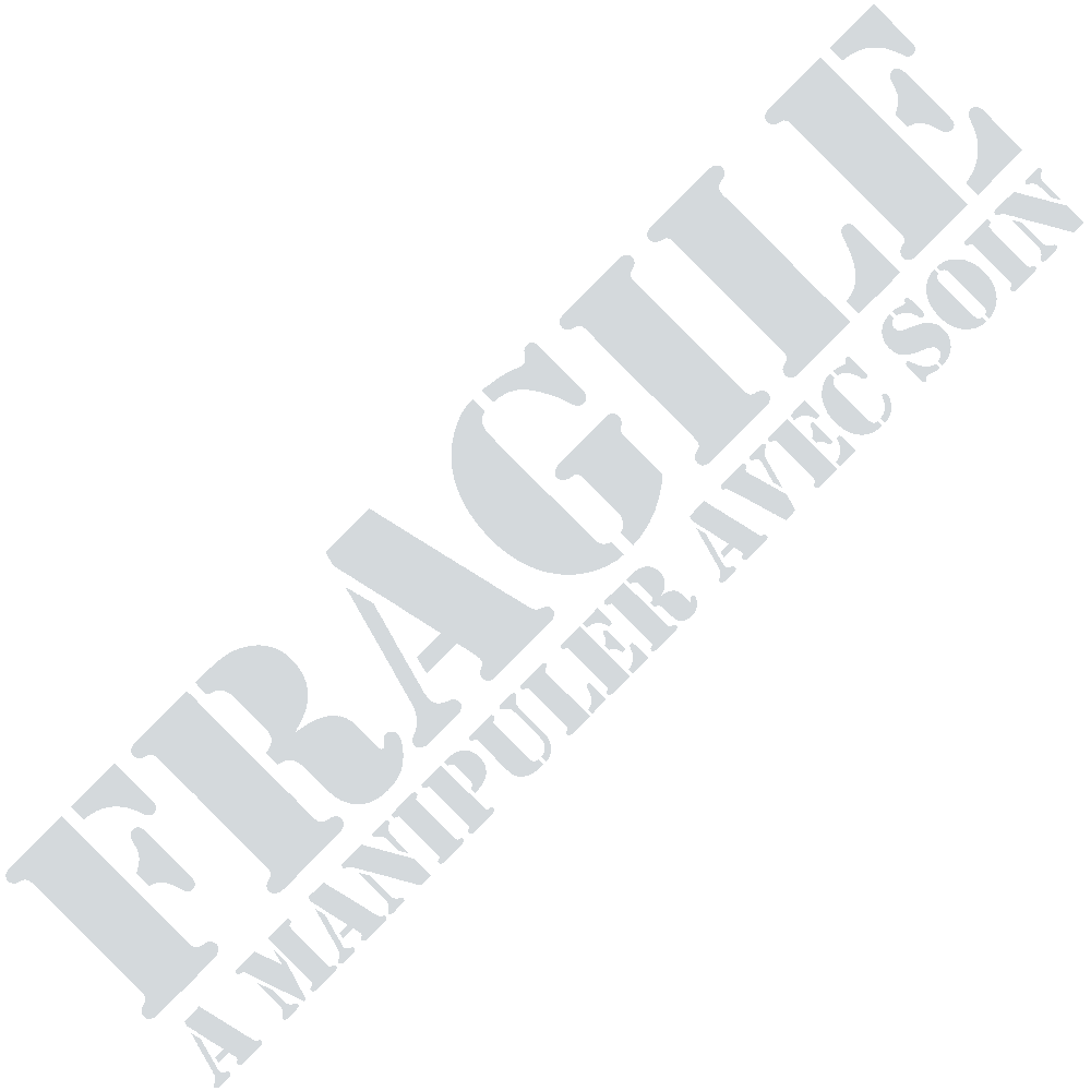 Personnalisation de T-Shirt  Fragile 
