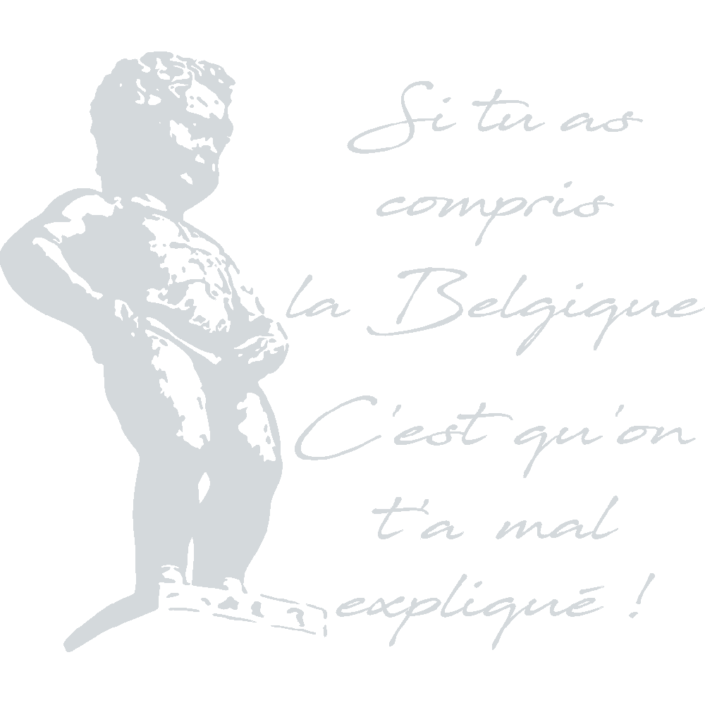 Customization of T-Shirt  Comprendre la Belgique 