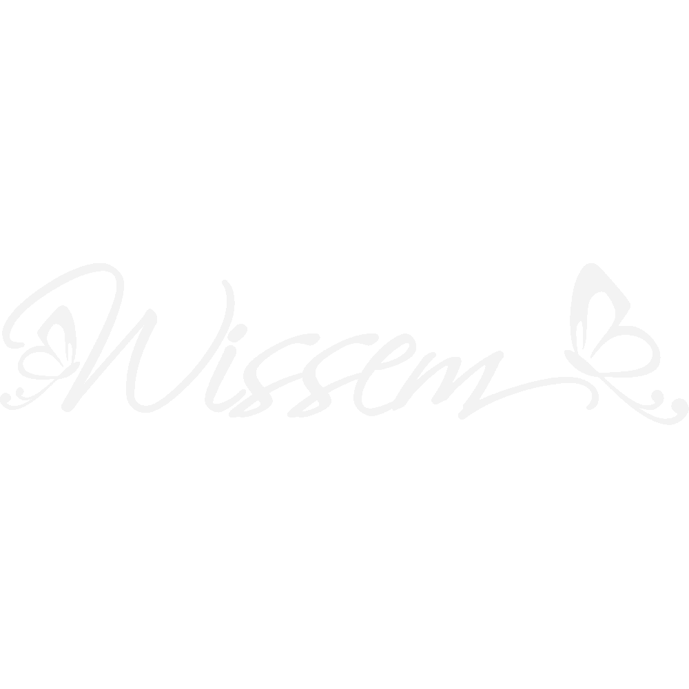 Wall sticker: customization of Wissem Papillons