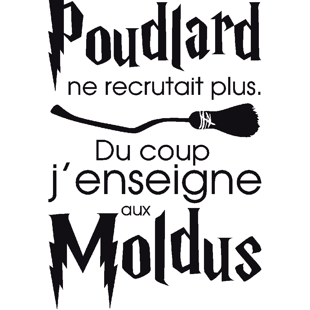 Customization of T-Shirt  Poudlard Enseignant 