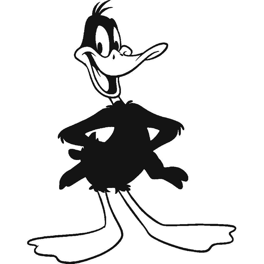 Personnalisation de Daffy Duck 2
