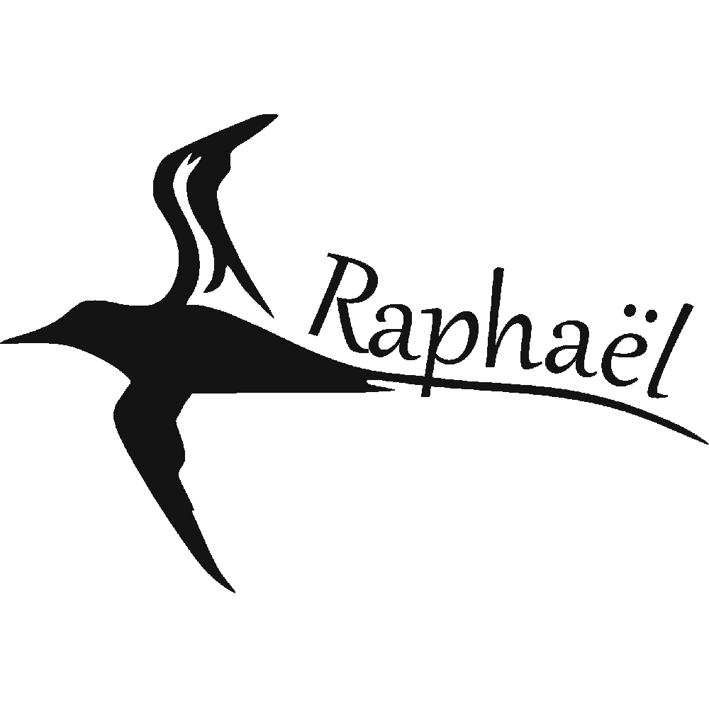 Customization of Raphal Paille en queue