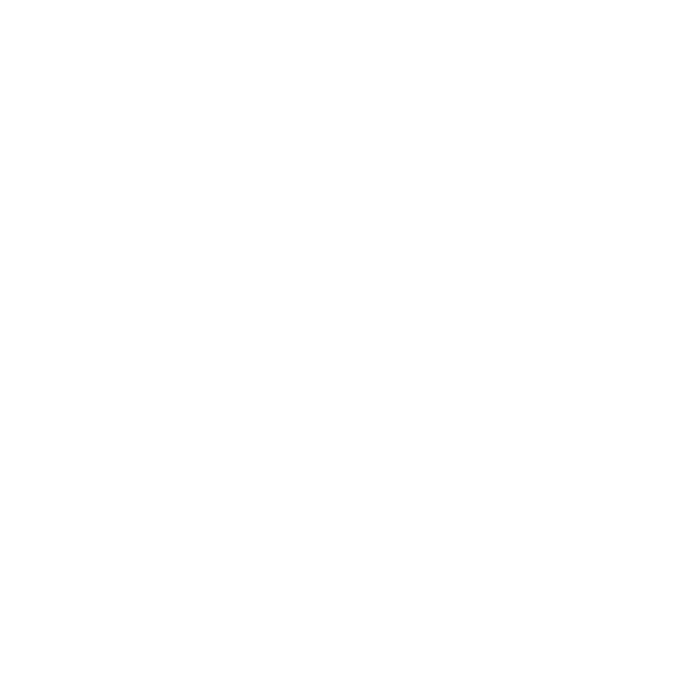 Personnalisation de T-Shirt  Tomorrowland summer 2019 