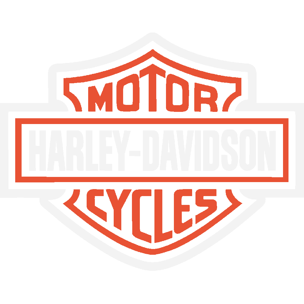 Aanpassing van Harley Davidson Bicolor