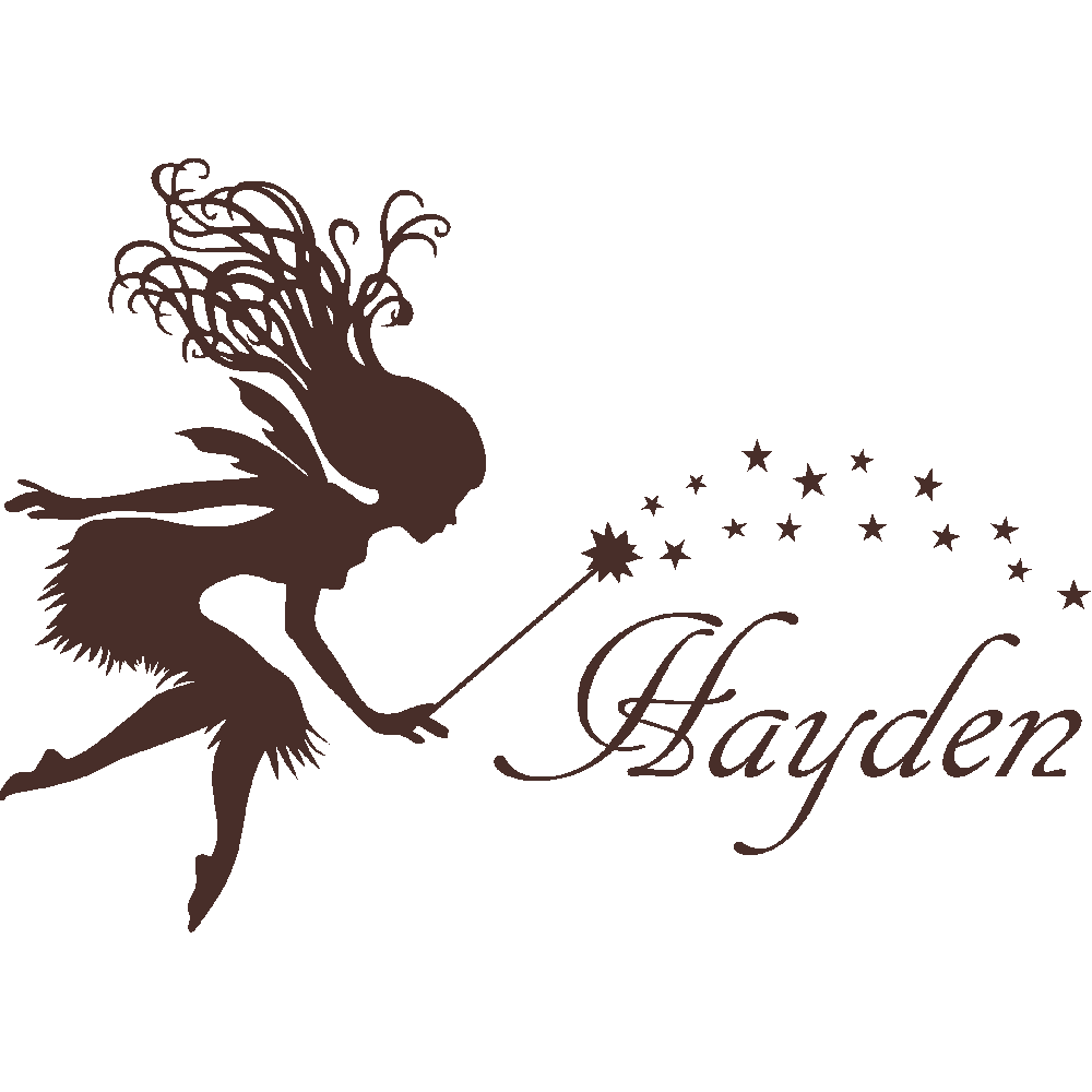 Customization of Hayden Fe
