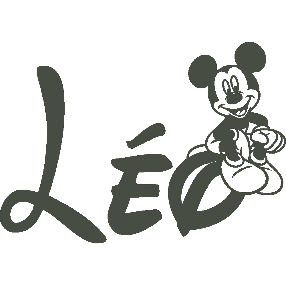 Personnalisation de Lo Mickey