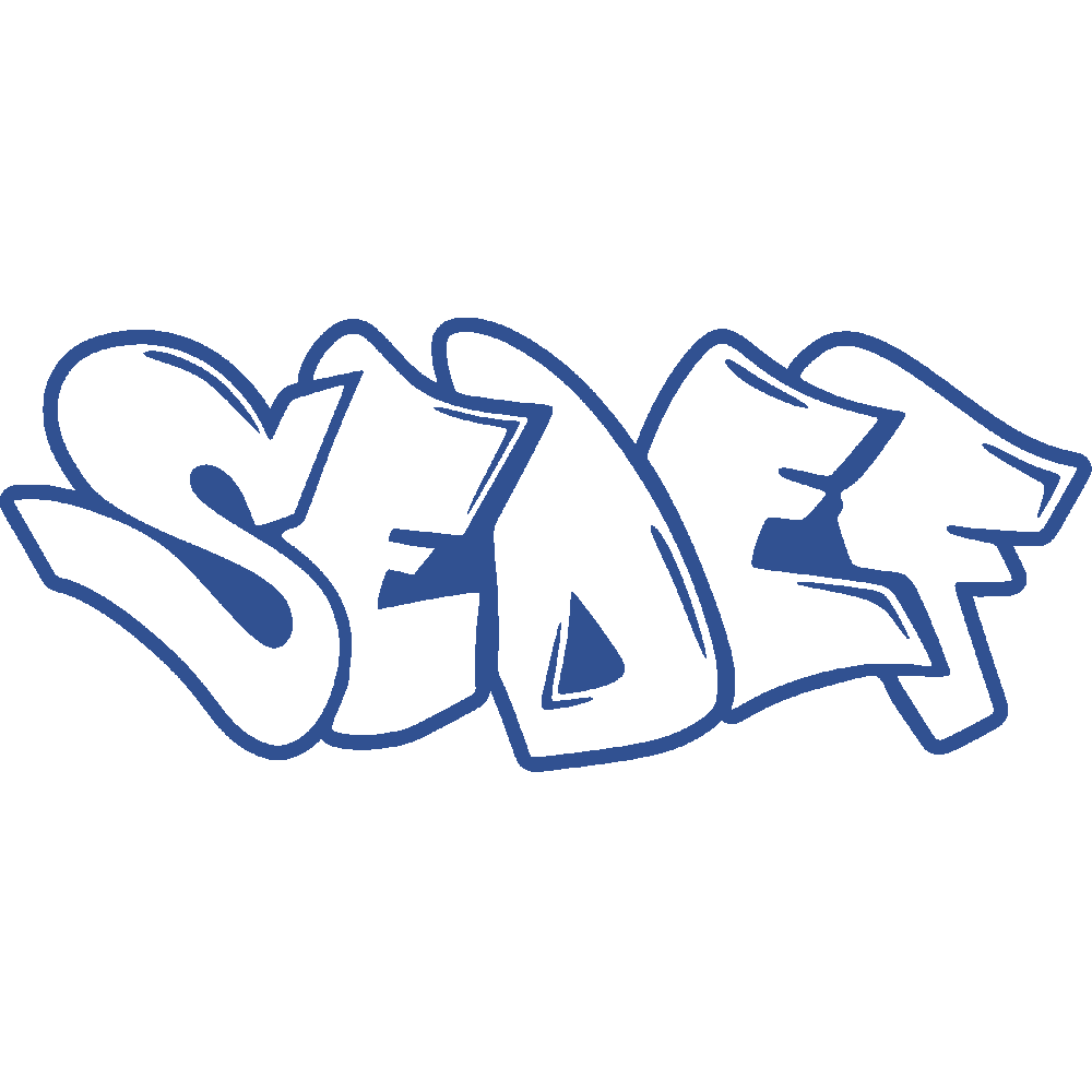 Customization of Sedef Graffiti