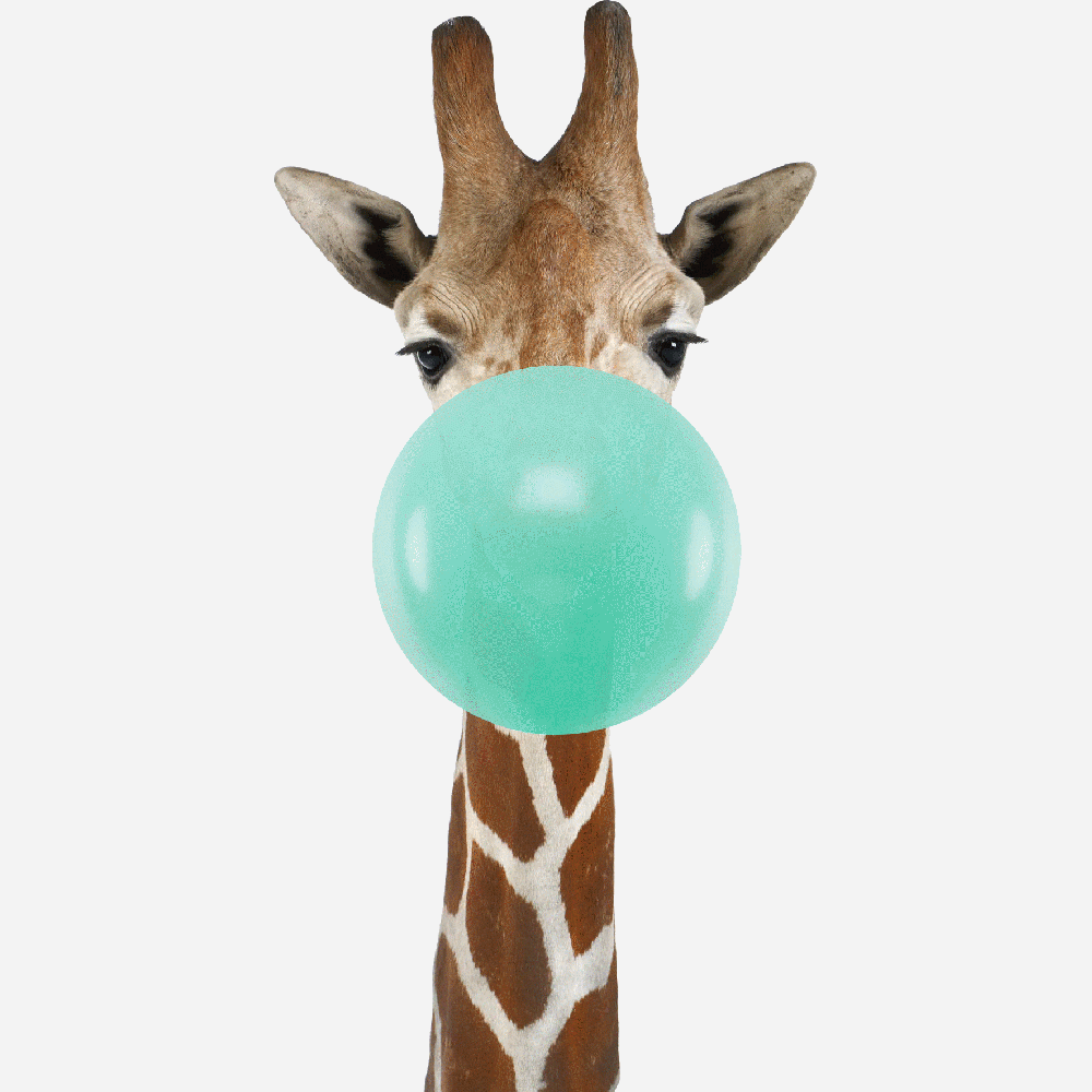Aanpassing van Girafe Bubble Gum Imprim