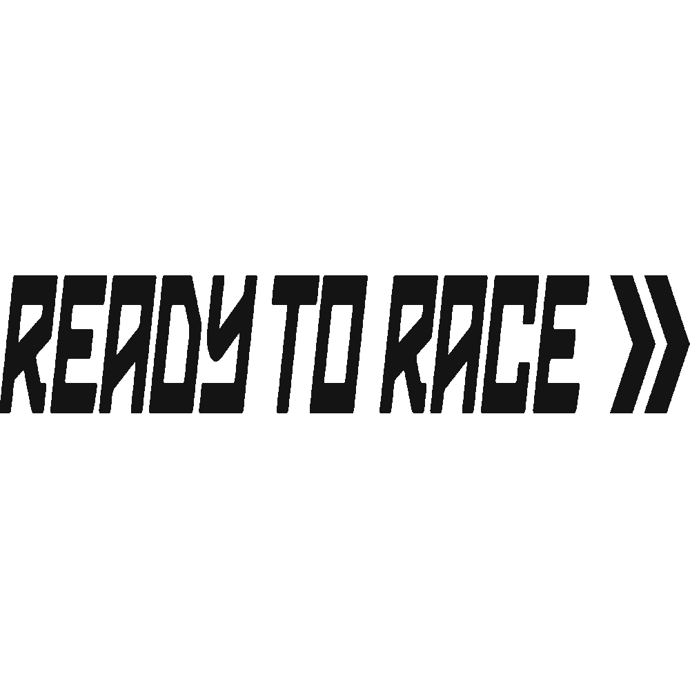 Personnalisation de Ready To Race 2