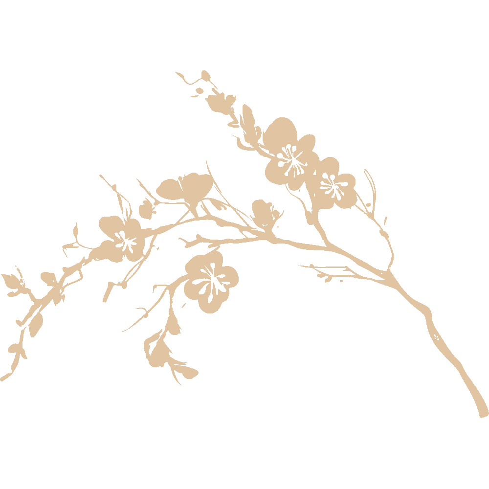 Aanpassing van Branche Cerisier Fine