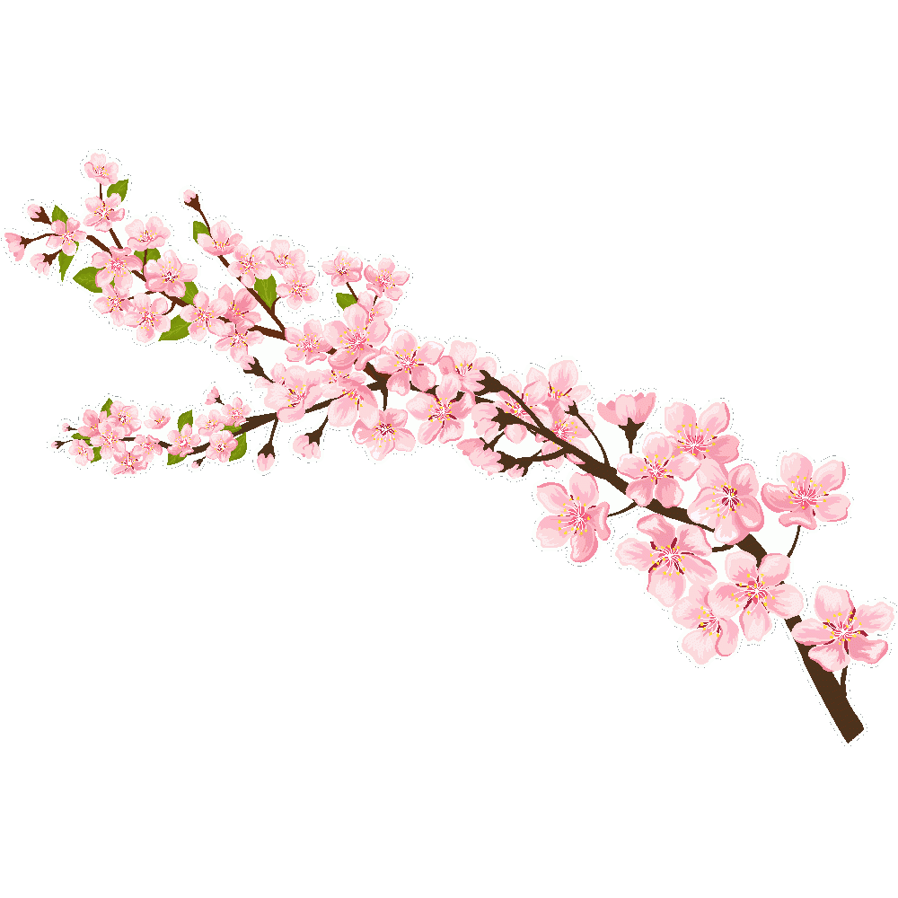 Aanpassing van Cerisier du Japon - Imprim