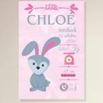 Toile Naissance Lapin