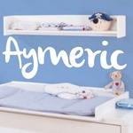 Aymeric Brush