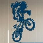 BMX Freestyle