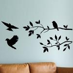 Branche et Oiseaux 01