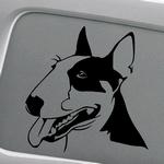 Bull Terrier