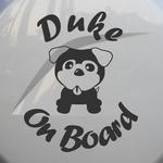 Dog on board 2